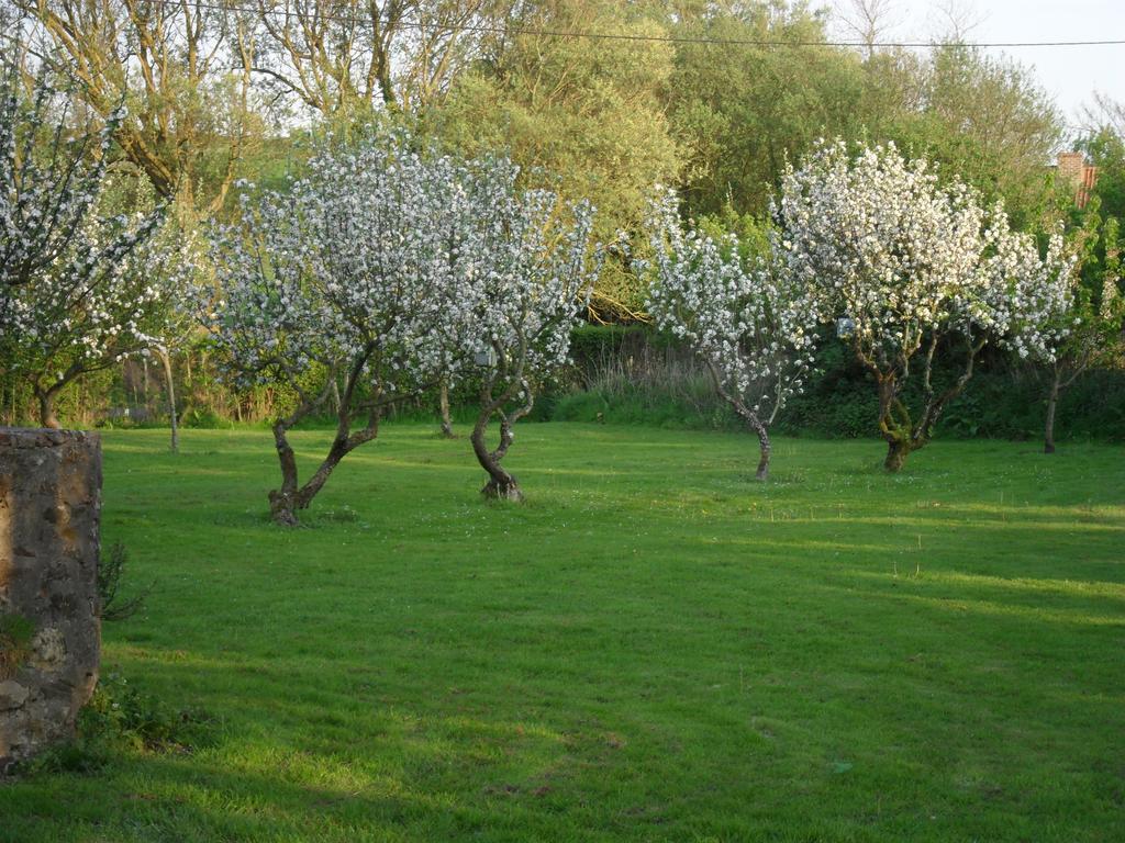 Domaine De La Ronville Wimereux Eksteriør bilde